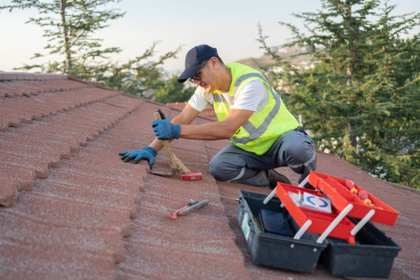 Best Storm Damage Roof Repair  in Madeira Beach, FL