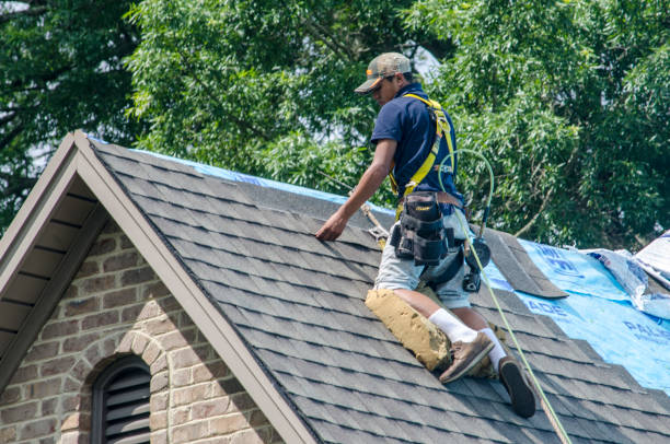 Best Storm Damage Roof Repair  in Madeira Beach, FL
